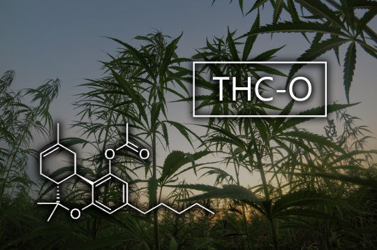 THC-Oとは？HHC規制後に注目されるTHC類似成分 – CBDfx.jp